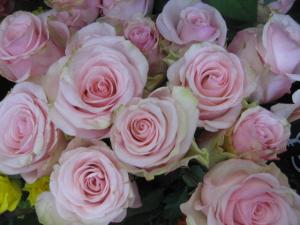 少しの間、不便です｜「フローリストノザキ」　（東京都小平市の花キューピット加盟店 花屋）のブログ